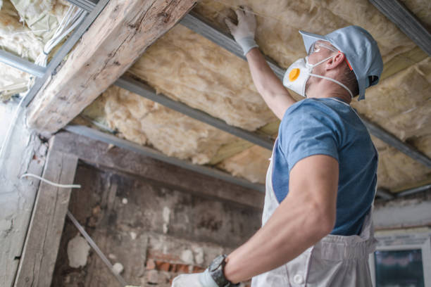 Best Affordable Insulation Services  in Al Creek, CO