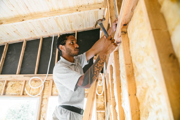 Best Insulation Repair Services  in Al Creek, CO