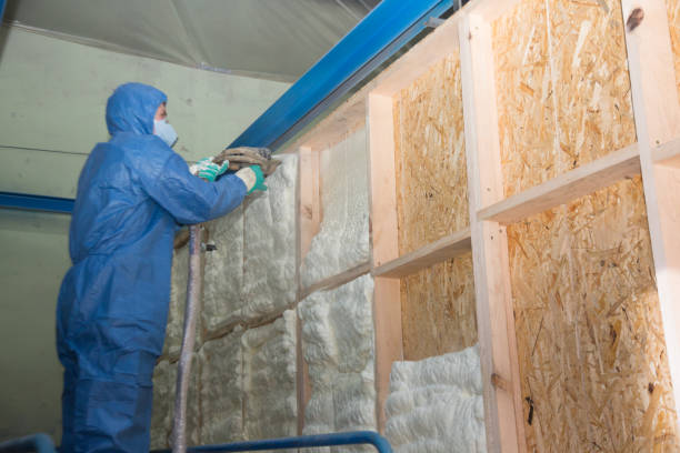 Best Home Insulation Services  in Al Creek, CO