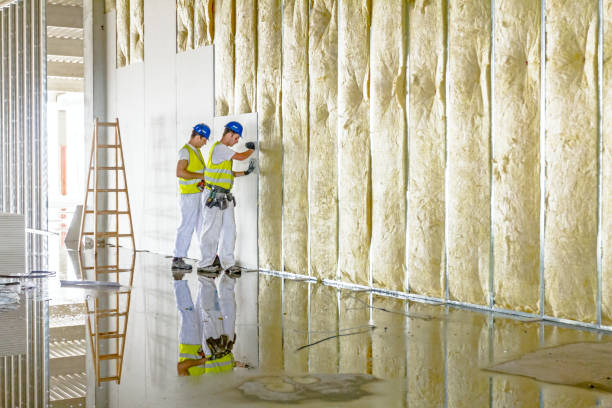 Best Wall Insulation Contractor  in Al Creek, CO